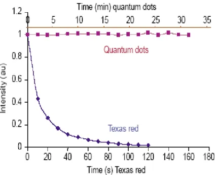 Figure 1.6 Photobleaching curves showing that QDs are several  thousand times more photostable than organic dyes (e.g