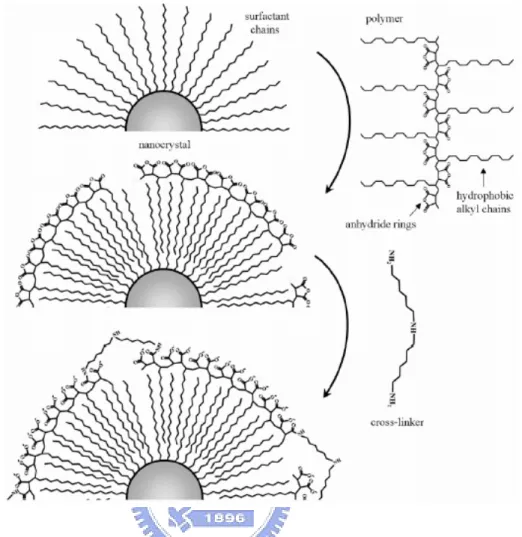 Figure 1.8 Scheme of the polymer coating procedure. The following  plausible configuration is then assumed for the polymer coating process: 