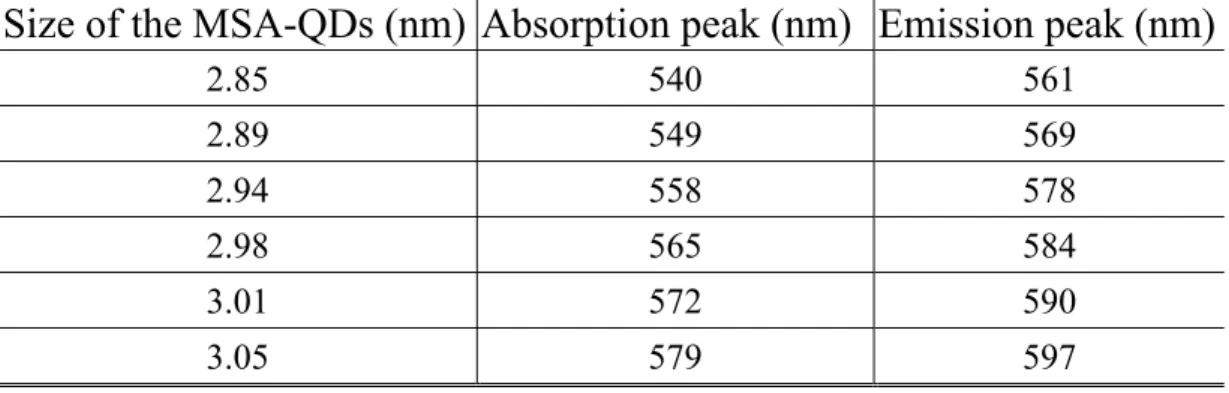 Table 2.1 Summering the characterizations of optical and size with  MSA-QDs  