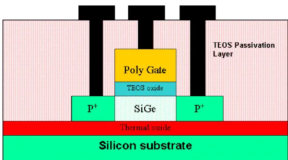 Figure 3.5 The cross-section view of p-type SiGe-thin-film-transistor. 