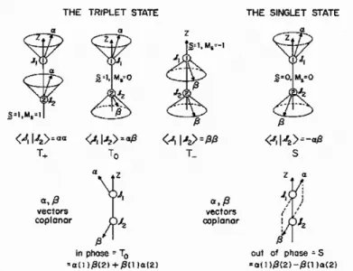Figure 1-5. The triplet state and singlet state from two the recombination of  electrons