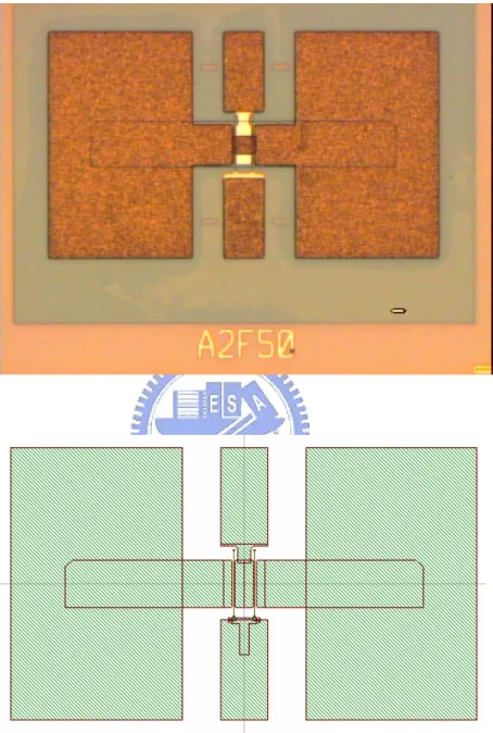 Fig. 3-3 Detailed layout of the device, the pads connecting the gate and drain are  about 50×100um 2 