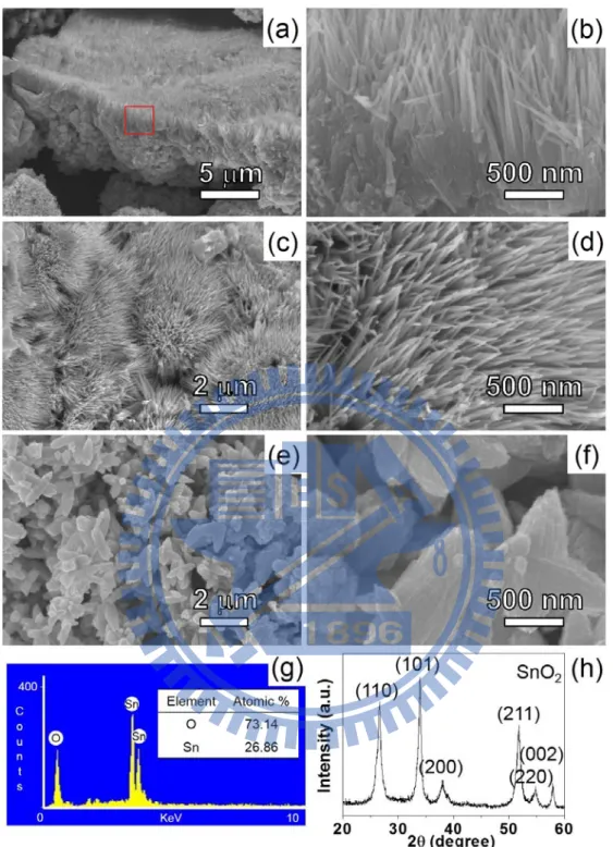 Figure 2.1 Low and high magnifications SEM images of A. (a) Sample with both NRs  and particles, (b) enlarged view of the squared area in (a), (c and d) views of NRs, and  (e and f) views of particles