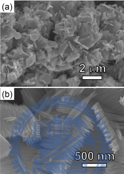 Figure 2.2 Low magnification SEM image in (a) shows the presence of a less observed  morphology at the centre