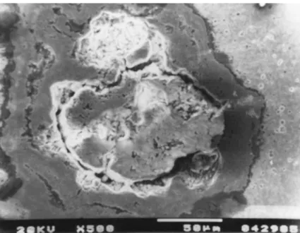 圖 4.9  PFB-131S 經 675℃回火熱疲勞試片表面之孔蝕 