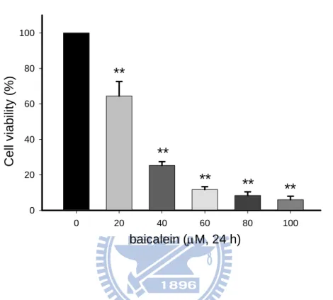 Fig. 1. Effect of baicalein on the cell viability in BFTC905 bladder cancer cells. 