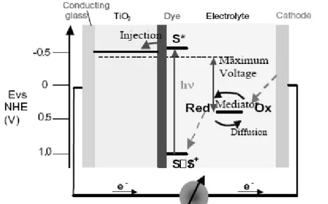 Figure 2.3 Principle of operation and energy level scheme of the dye-sensitized  nanocrystalline solar cell