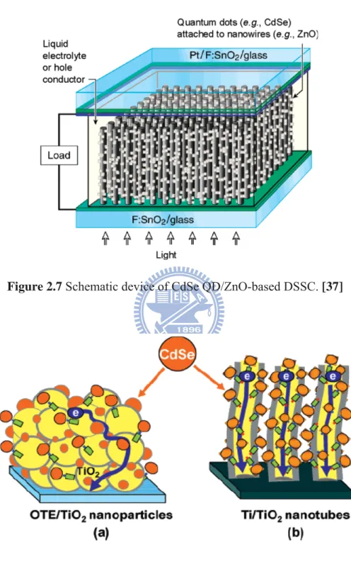 Figure 2.7 Schematic device of CdSe QD/ZnO-based DSSC. [37] 