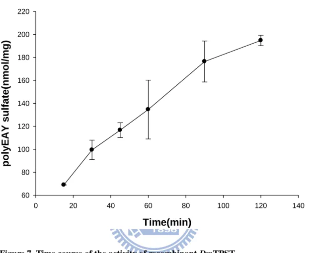 Figure 7. Time course of the activity of recombinant DmTPST.   