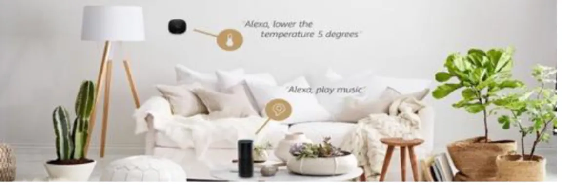 圖 2- 3 Amazon Smart Home 