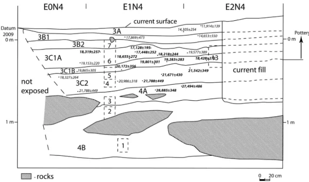 Fig. 3. Western Area proﬁle at Xianrendong Cave exposed during the 2009 excavation, with positions of radiocarbon determinations (from Wu et al., 2012)