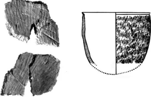 Fig. 5. Early pottery from Xianrendong Cave. Left: “Stripe-marked” pottery sherd from Layer 3C1b dating to ~20e19 Ka cal