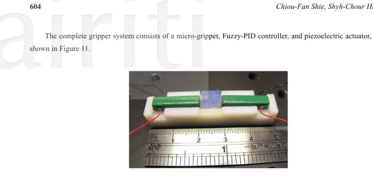 Figure 11. Microgripper system 