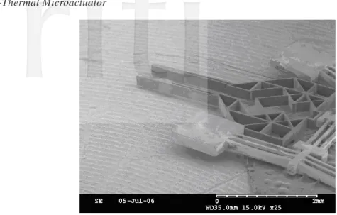 Figure 17.    The SEM photo of the microgripper 