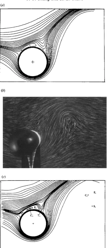 FIGURE  12. Comparison  of  streamline patterns  for Re  =  1000,  a =  2 at  t  =  10: (a) present plot,  (6) flow visualization  experiment  in Badr et  al