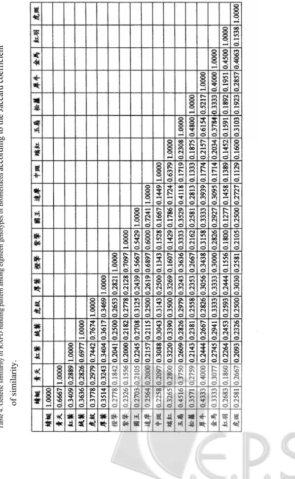 表 4.  十八種觀賞鳳梨物種之RAPD條帶以Jaccard方法分析所得之相似度。 Table 4. Genetic similarity of RAPD banding pattern among eighteen genotypes of Bromeliacea according to the Jaccard coefficient  of similarity