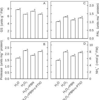 Figure 6. Effect of PBN on the activities of GS (A), the specific activities of protease (B) and PAL (C), and the content of NH 4+