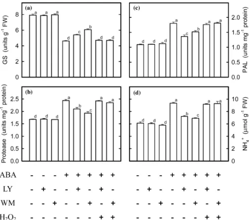Figure 3. Regulation of NH 4 + accumulation in ABA-treated rice leaves. ﬁ Stimulation of the reaction;  inhibition of the reaction.