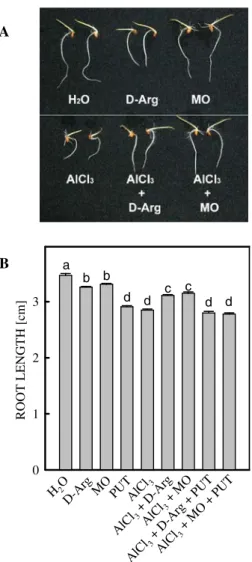 Fig. 5 Effect of D -Arg, MO, and PUT on root growth of rice seedlings treated with or without AlCl 3 (0.5 mM, pH 4.0)