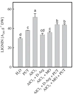 Fig. 7 Effect of pre-treatment of D -Arg and MO on root growth of rice seedlings treated with or without AlCl 3