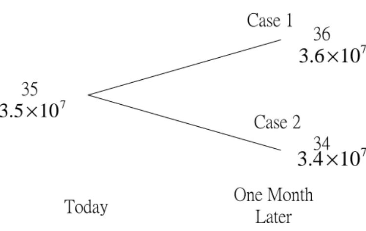 Figure 2.2: Exchange Rate Risk.