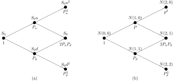 Figure 2.4: The CRR Binomial Lattice.