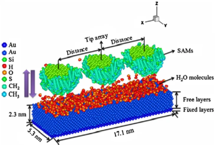 Fig. 1 shows a schematic model of DPN array deposition of an MD simulation. The physical model consists of three silicon (Si) probe tips, a gold (Au) substrate, HDT molecules adsorbed onto the tips, and 748 water molecules adsorbed onto the substrate.