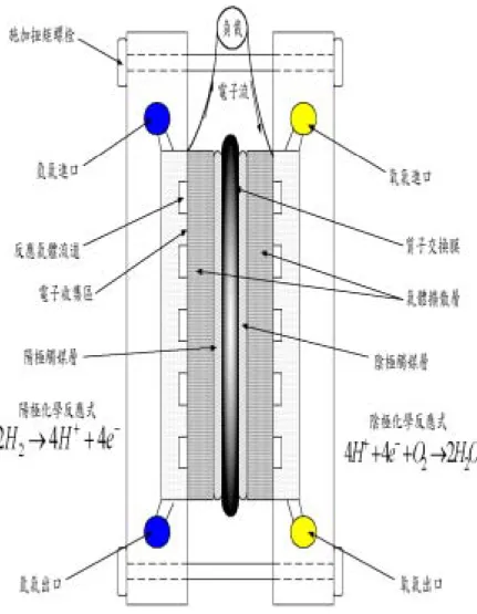 圖 3.1 PEMFC 單電池構造原理圖