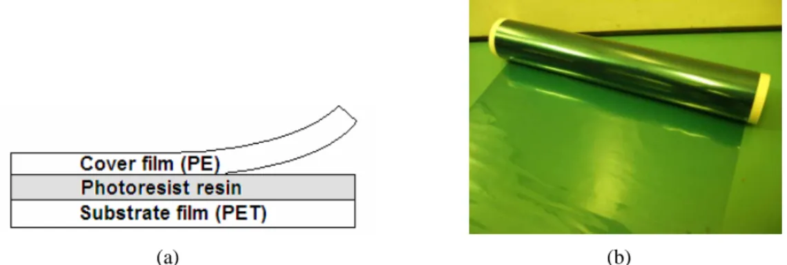 Figure 1 shows the conformation and photograph of dry film resist (DFR, ETERTEC® HT- HT-115T, Eternal, Taiwan)