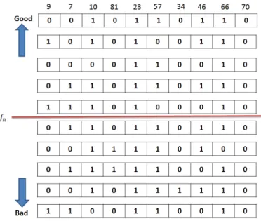 Fig. 4. Chromosome and its gene.
