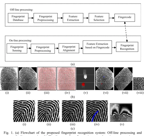 Fig. 1. (a) Flowchart of the proposed fingerprint recognition system: Off-line processing and  On-line processing; (b) The diagram of our fingerprint core sub-region segmentation  proc-ess: (i) Fingerprint input, (ii) Foreground and background segmentation