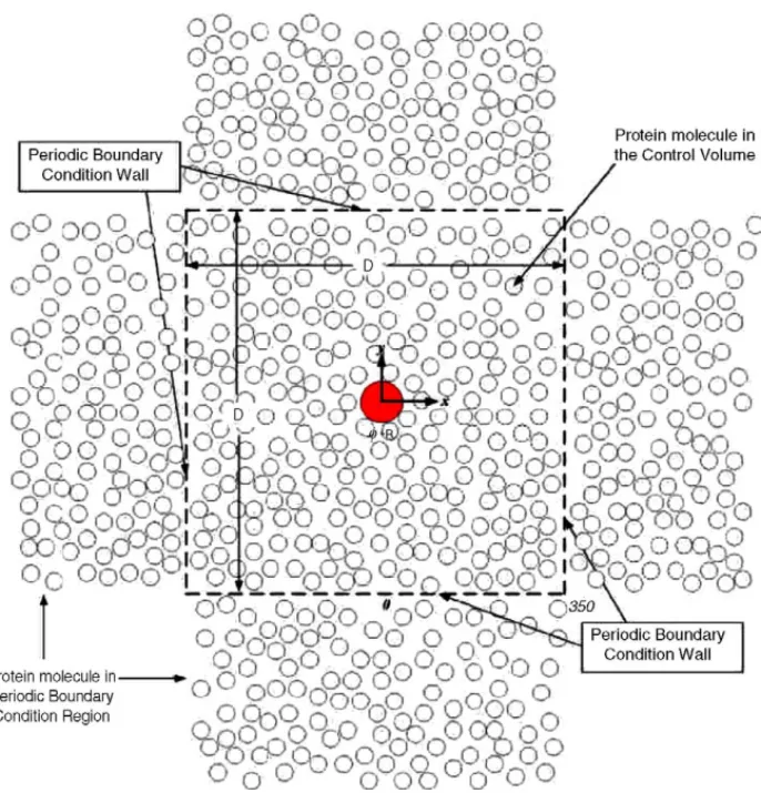 Fig. 1. The cross-section of simulation geometry on x–y plane.