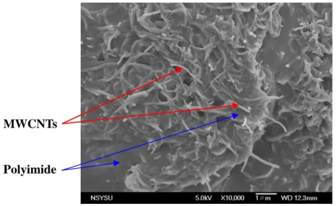 圖 3.14  多層壁奈米碳管塑膠複合材料薄膜的 SEM                微結構照片 