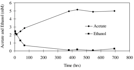Fig. 3. Variation in aqueous ethanol and acetate in no-carbon added macrocosms. Both ethanol and acetate were present in the groundwater used to construct the macrocosms.