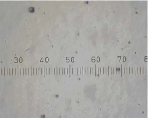 圖 4-3  於 2% KOH 蝕刻 10 分鐘後之表面形態  4-1-2 不同間距  利用調整間距來改變蝕刻後金字塔的表面形態，制定參數如下：  1.蝕刻液(KOH)之濃度： 1 %  2.反應時間：10 分鐘  3.反應溫度：70℃  4.間隙距離：1、1.5、2 mm  5.網目孔洞大小：2 mm  當增加間距控制參數後，我們以光學顯微鏡 1000x 觀察其結果， 如圖 4-4~4-6，可得知當間隙控制於 1mm 時，可蝕刻出完整的金字塔 結構，而隨著間隙高度的增加，結構形狀愈不明顯，到達 2mm 高