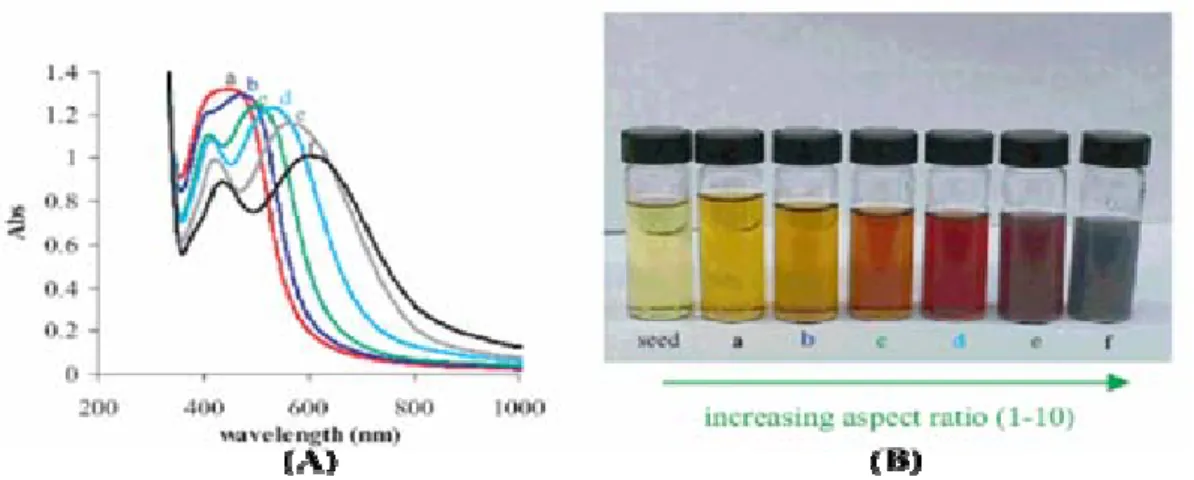 Figure 2.7: Aqueous solutions of silver nanorod show (A) absorbance spectra and (B) a beautiful  variation in visible color depending on the aspect ratio of the suspended nanoparticles