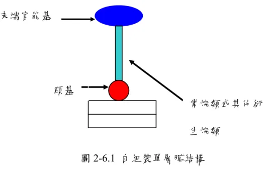 圖 2-6.1  自組裝單層膜結構          因為當高分子溶於不易溶的溶劑當中時，他會選擇本身捲曲在一 起，或吸附到玻璃瓶表面上，為了減少表面吸附效應，使高分子僅能 存在於溶劑中，讓我們最有效率的激發到高分子，勢必一定要經由單 分子薄膜的生長，  在玻璃瓶表面塗佈疏水性的緻密結構，來改變玻 璃瓶本身的特性，使玻璃瓶達成疏水性的表面，減少表面吸附效應。末端官能基 常烷類或其他衍生烷類 頭基 