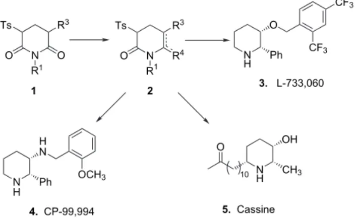 Figure 1. The application of exo or endo enlactams to L -733,060 3, CP- CP-99,994 4 and cassine 5.