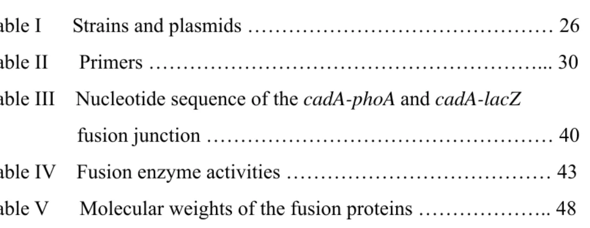 Table I      Strains and plasmids ……………………………………… 26  Table II   Primers …………………………………………………..