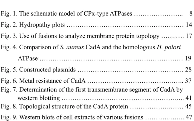 Fig. 1. The schematic model of CPx-type ATPases …………………..    8  Fig. 2. Hydropathy plots ……………………………………………… 14  Fig