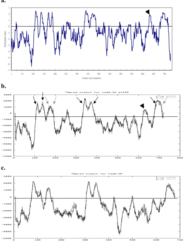 Fig. 2 Hydropathy plots. (a.) Staphylococcal CadA by Kyte and Dollittle method  (SOAP)