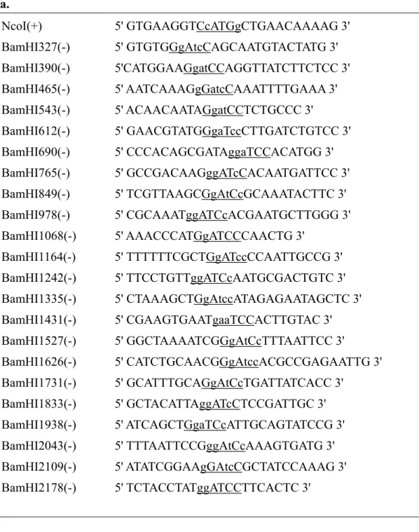 Table II  Primers. (a.) Primers used in PCR that for cadA-phoA and cadA-lacZ  constructions