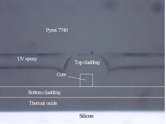 圖 4-4  拋光後元件截面圖  下圖 4-5 是我們波導導光發亮的圖。 Core Bottom cladding Thermal oxide UV epoxy Pyrex 7740  Top cladding Silicon 