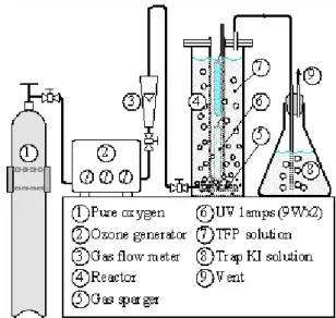 Fig. 1. Schematics of the experimental system 