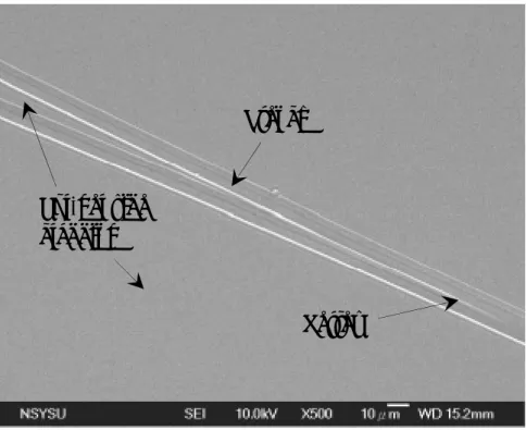 圖 7-5.  曝光顯影後之 splitter SEM 圖。 Sol-gel side cladding Trench Vertex Sol-gel side cladding Trench Vertex 