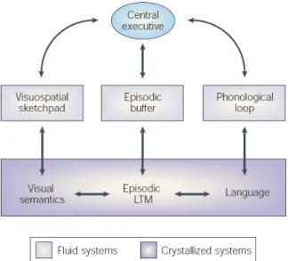 Figure 1. Working Memory Model (Baddeley, 2003). 