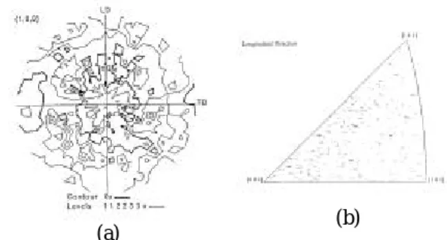 Fig. 2 (a) Example of the line offsets observed from the  surface marker lines scribed on the LTSP specimens  loaded at 250 o C and 1x10 -3  s -1 