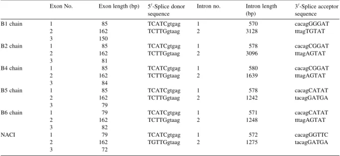 Fig. 2. Amino acid sequence alignments of B chains. The arrows indicated the positions of protein-coding regions interrupted by introns