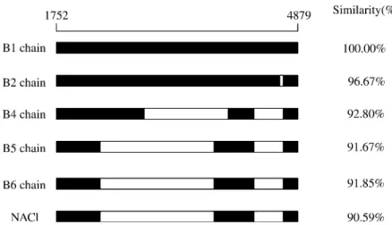 Fig. 4. Identification and size determination of PCR-amplified cDNAs from different tissues of B