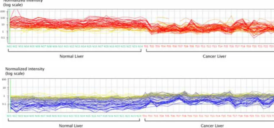 Figure 4. Gene expression profiles of the differentially expressed genes (p<0.00001)  among 24 pairwise liver cancer patients